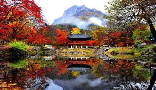 詳述注冊(cè)韓國(guó)公司都需要什么資料？