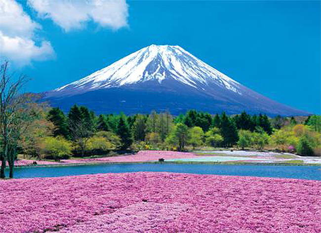 詳細(xì)介紹日本注冊(cè)公司有什么要求？