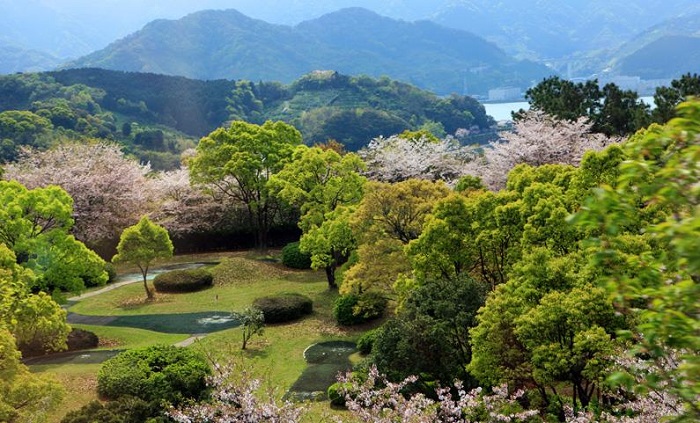 詳細介紹日本注冊公司需要什么資料？